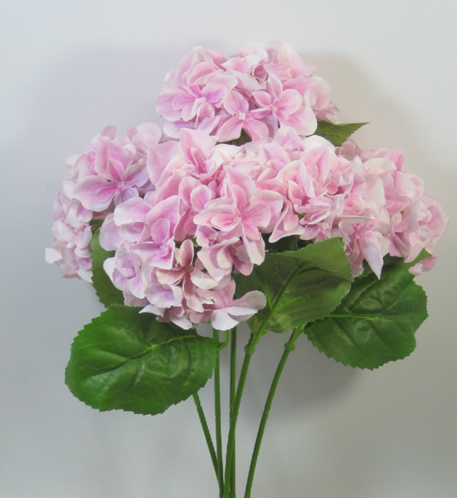 Hortensienbusch  x5, 48cm pink 130105-22